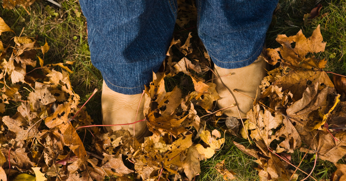 Though we can not control fluctuating temperatures during the changing of the seasons, we can take action to lessen the impact it can have on our bodies.