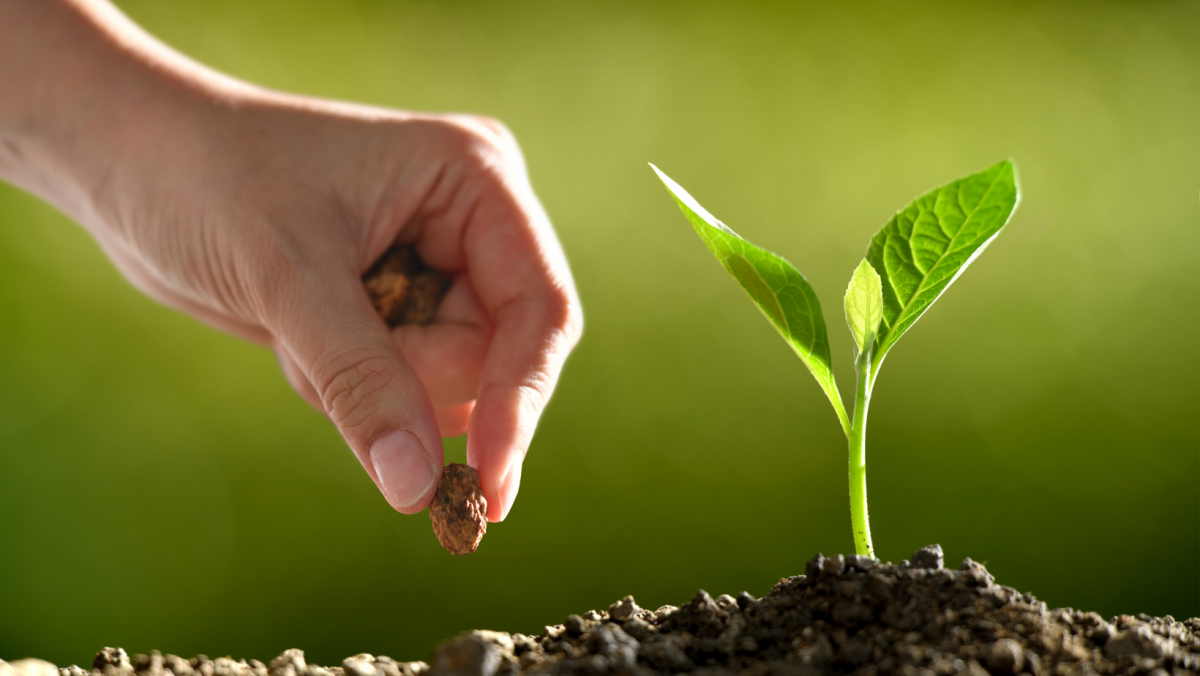 The seed of every habit is a single, tiny decision but as that decision is repeated, a habit sprouts and grows stronger.